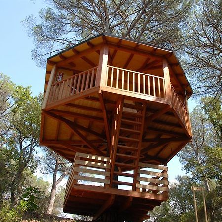 Cabanes Dosrius Canyamas Номер фото