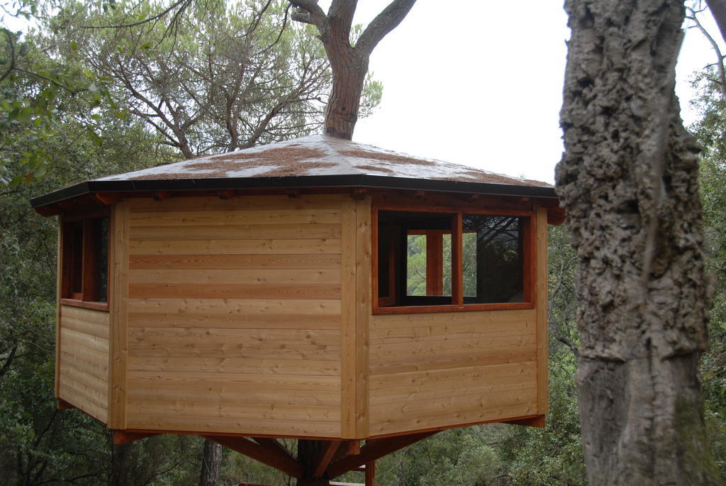 Cabanes Dosrius Canyamas Номер фото