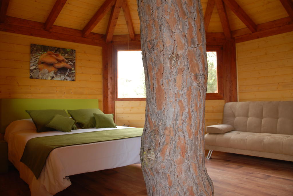 Cabanes Dosrius Canyamas Номер фото