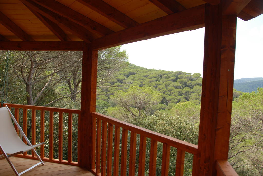 Cabanes Dosrius Canyamas Номер фото