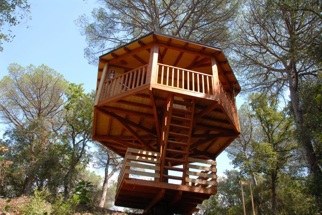 Cabanes Dosrius Canyamas Номер фото